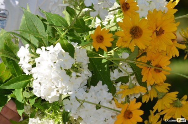 У Луцьку вшанували борців з фашизмом. ФОТО