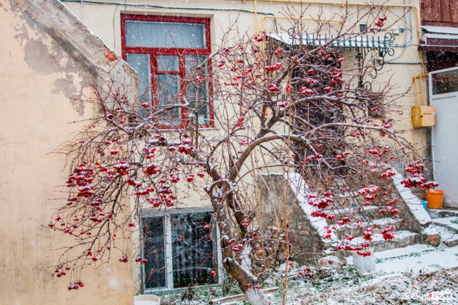 Засніжений Луцьк. ФОТОРЕПОРТАЖ