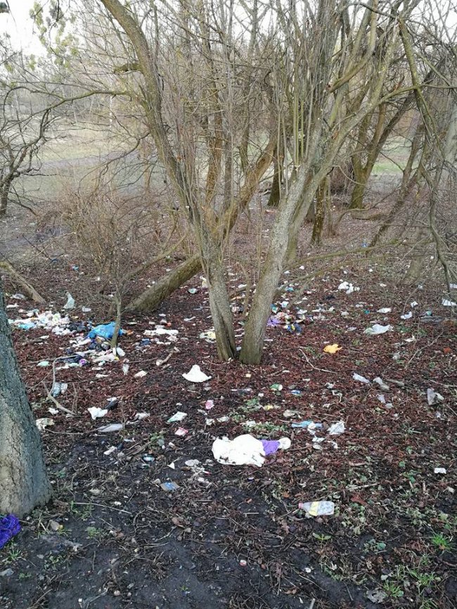 «Для чого робити з гарного парку сміттєзвалище?» - «крик душі» від лучанки