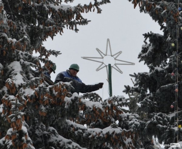 У Луцьку прикрашають головну ялинку. ФОТО