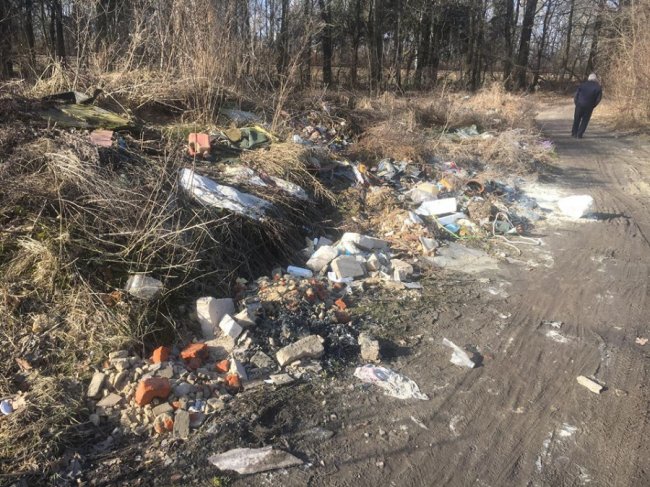 У Рожищі навесні вздовж доріг  «квітують» купи непотребу 