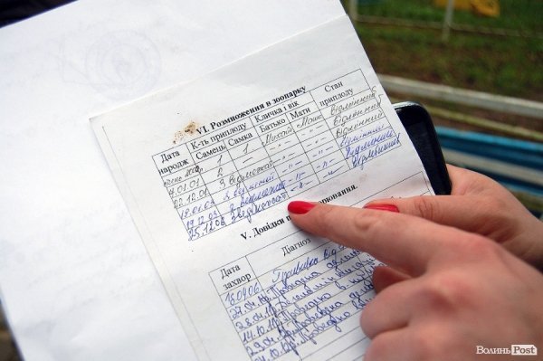 Іноземці забрали ведмежа із луцького зоопарку. ФОТО. ВІДЕО