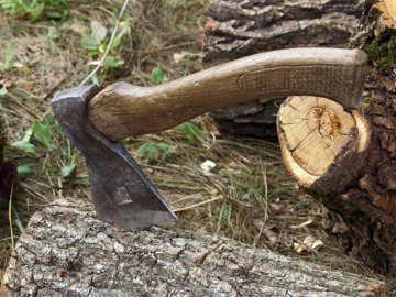 Підпільних лісорубів хочуть змусити відшкодувати заподіяні збитки