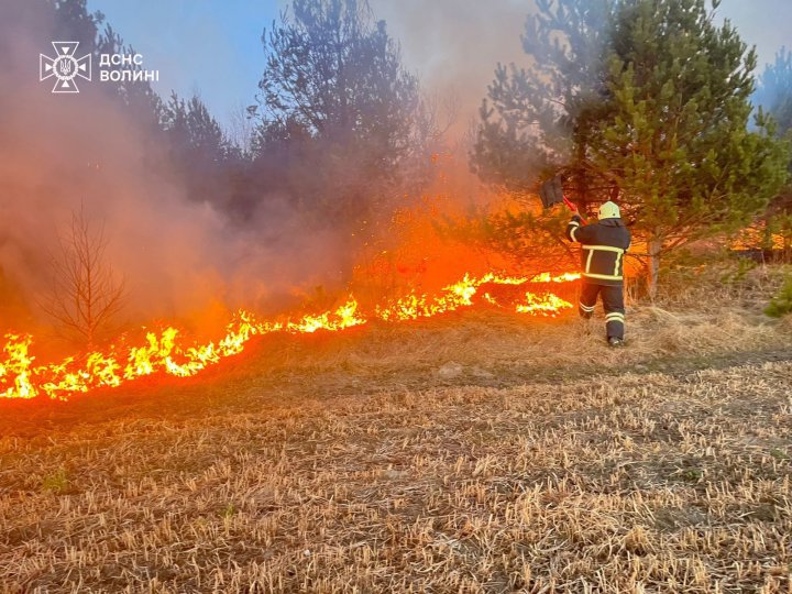 Волинь - у вогні: рятувальники погасили 13 пожеж сухої трави на 16 га. ФОТО