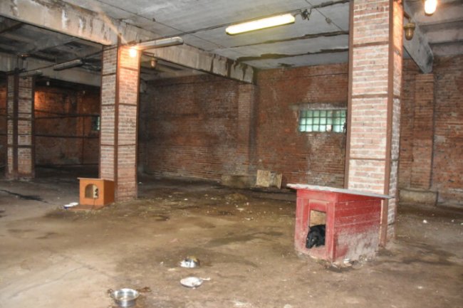 Для ремонту даху приміщення КП «Ласка» хочуть виділити кошти з міського бюджету