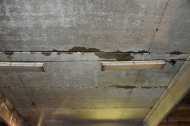 Для ремонту даху приміщення КП «Ласка» хочуть виділити кошти з міського бюджету