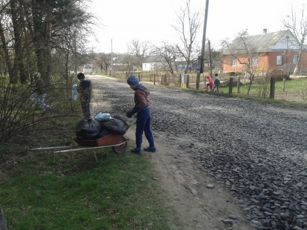 Екологічна толока під Луцьком. ФОТО