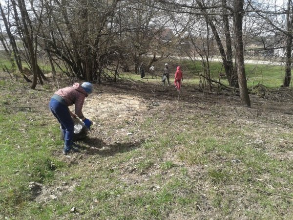 Екологічна толока під Луцьком. ФОТО