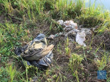 У річку на Волині викинули рештки тварин. ФОТО 18+