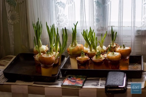 Нове життя луганчан на Волині.ФОТО