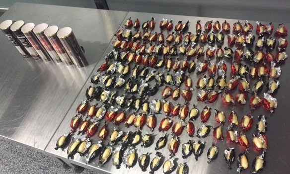 Затримали наркодилерів з «кокаїновими цукерками» на 2 мільйони доларів. ФОТО. ВІДЕО