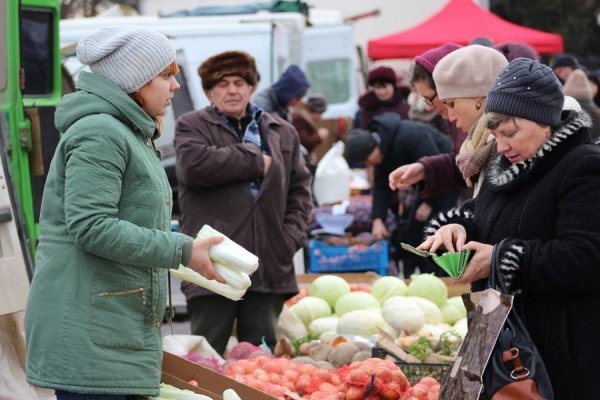 Мед, ялинки, кролі: як ярмаркували у Володимирі