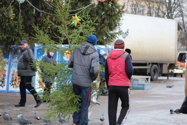 Мед, ялинки, кролі: як ярмаркували у Володимирі