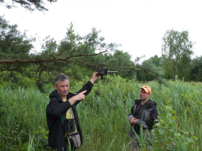 У волинському лісі встановили фотопастки.ФОТО