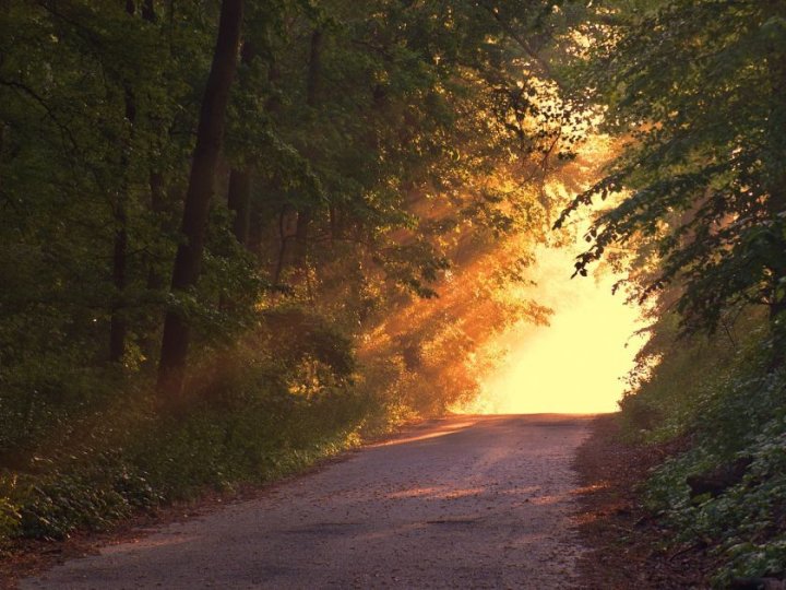 Якою буде погода в Луцьку у вівторок, 14 жовтня