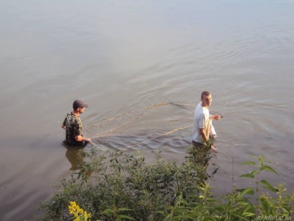 Браконьєрів піймали, рибу – забрали