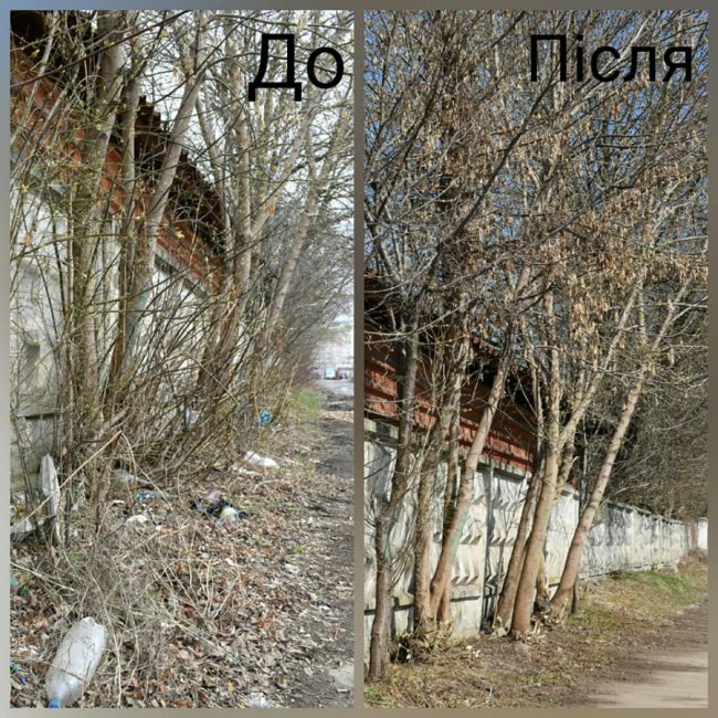 У Луцьку нацгвардійці влаштували толоку. ФОТО