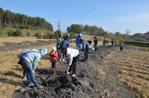 На Волині діти садили дерева. ФОТО