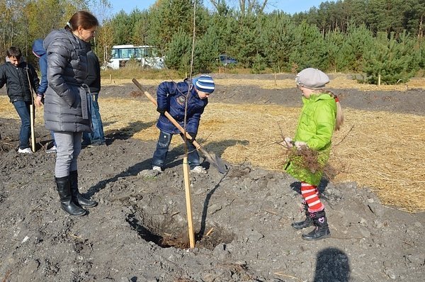 На Волині діти садили дерева. ФОТО