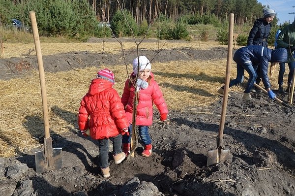 На Волині діти садили дерева. ФОТО