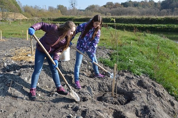 На Волині діти садили дерева. ФОТО