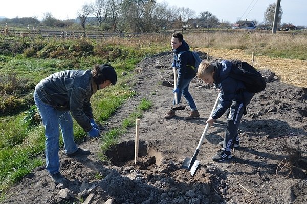 На Волині діти садили дерева. ФОТО