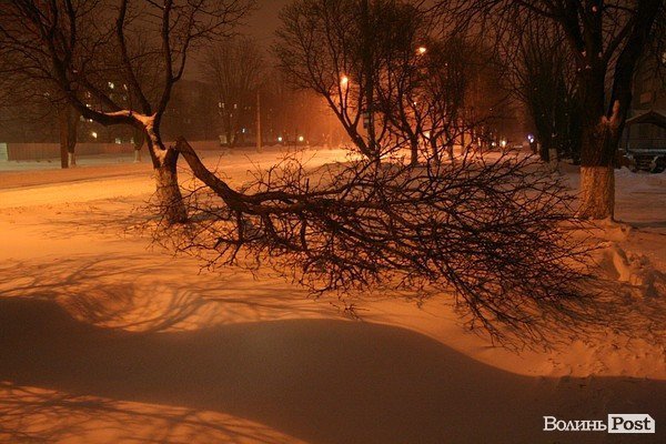 У Луцьку хуртовина ламає дерева і паралізує автотранспорт. ФОТО
