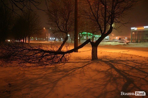 У Луцьку хуртовина ламає дерева і паралізує автотранспорт. ФОТО