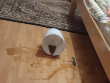 У селі на Волині будинок священника залили гноївкою. ФОТО