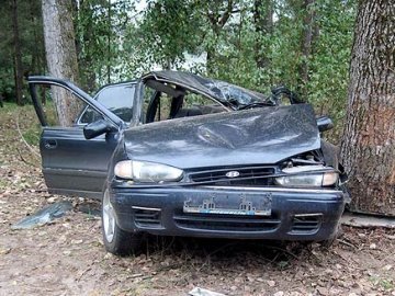 Аварія на Волині: водій зіткнувся з деревом. ФОТО