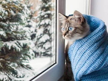 Погода у Луцьку та Волинській області на завтра, 3 грудня