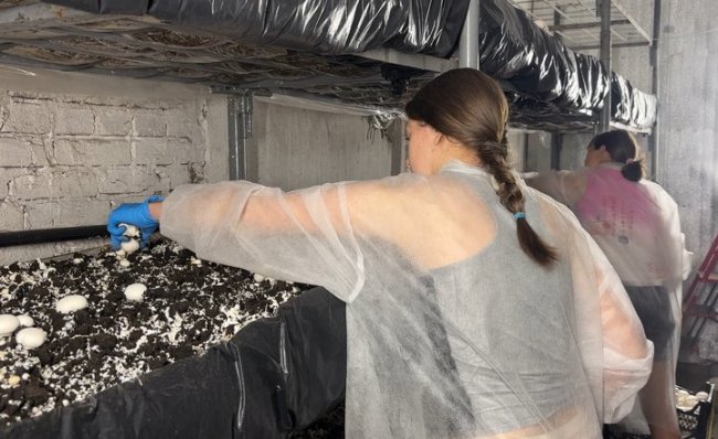 Ветеран з Волині після чотирьох років на війні відкрив грибну ферму. ВІДЕО