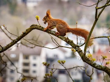 Погода на 10 квітня у Луцьку та Волинській області