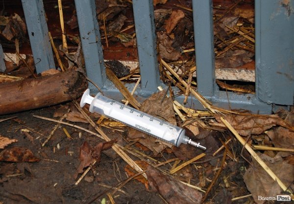 Іноземці забрали ведмежа із луцького зоопарку. ФОТО. ВІДЕО