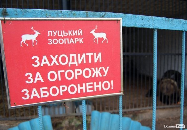 Іноземці забрали ведмежа із луцького зоопарку. ФОТО. ВІДЕО