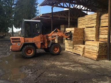 На лісах Волині хотіли заробити більше 40 мільйонів. ФОТО