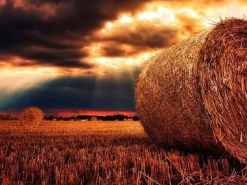 Синоптик розповів, якими будуть останні дні літа