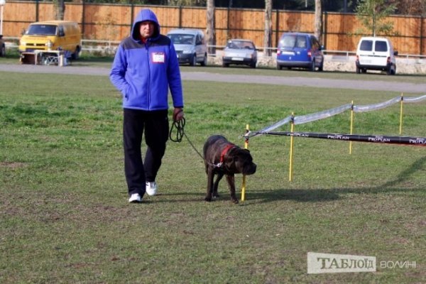 Луцький іподром перетворився на справжнє царство тварин. ФОТО