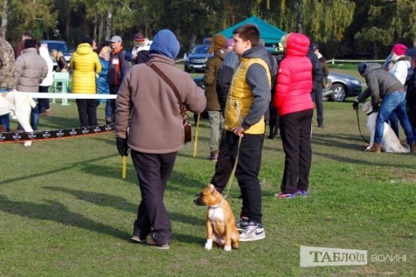 Луцький іподром перетворився на справжнє царство тварин. ФОТО