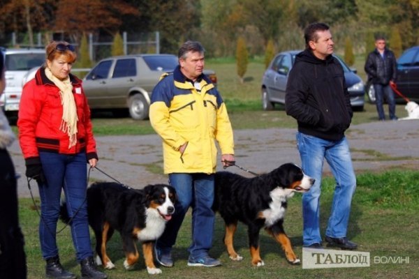 Луцький іподром перетворився на справжнє царство тварин. ФОТО