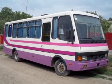 Через відсутність автобусного сполучення між райцентром і селом волиняни «дійшли» аж до столиці