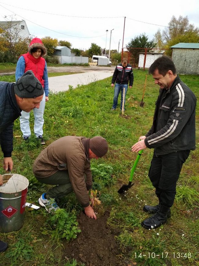 Ковель: в честь захисників України висадили парк