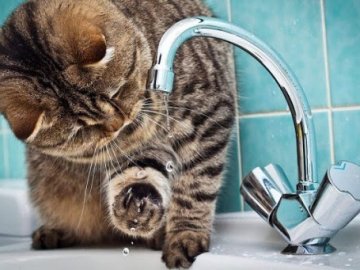 Завтра, 17 вересня, мікрорайон Луцька залишиться без води