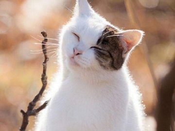 Погода у Луцьку та Волинській області на завтра, 16 лютого