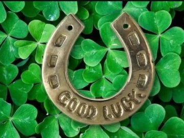 Волинянка виграла 500 000 гривень у лотерею