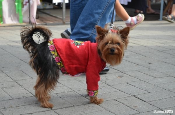 ФОТОРІК-2012. Частина друга