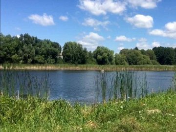 На Волині у підприємця заберуть землі зі ставками