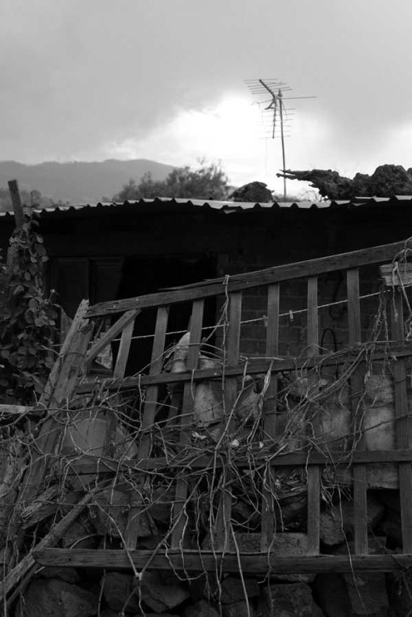 Фотовиставка Анни Лучії Лобос