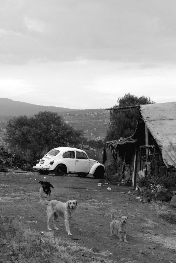 Фотовиставка Анни Лучії Лобос