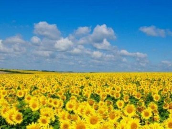 4 липня на Волині: гортаючи календар